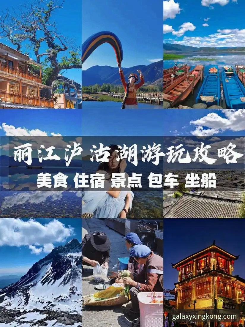 星空APP娱乐官网实战攻略：从下载到会员特权全解析
