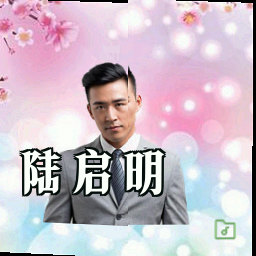 陆启明